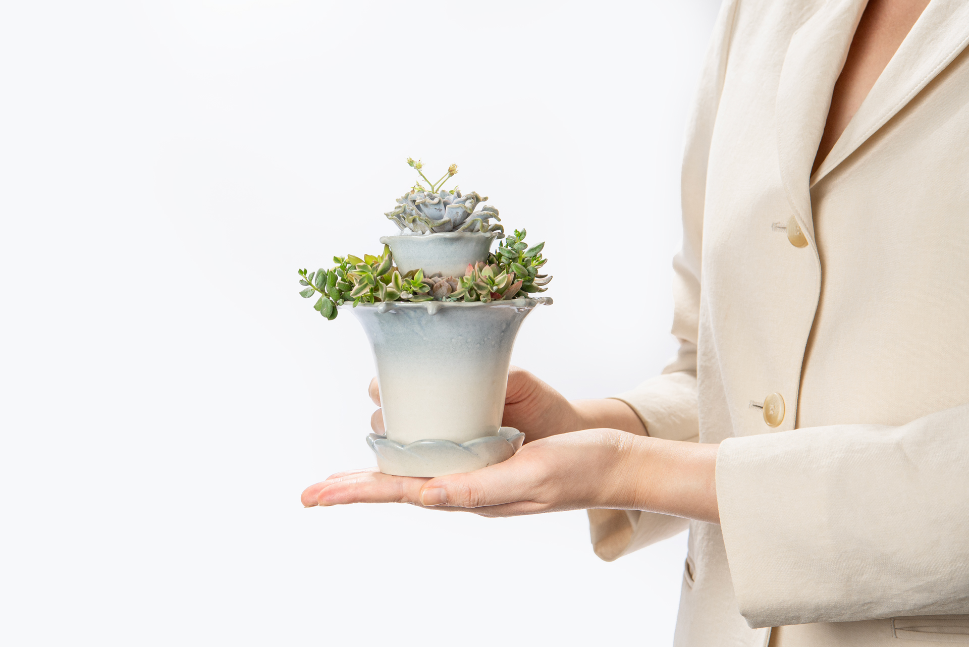 開幕送禮台灣盆器