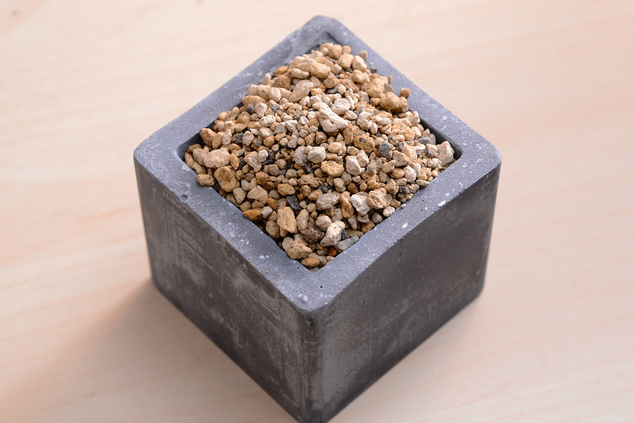 有肉多肉植物專用土-博拉2