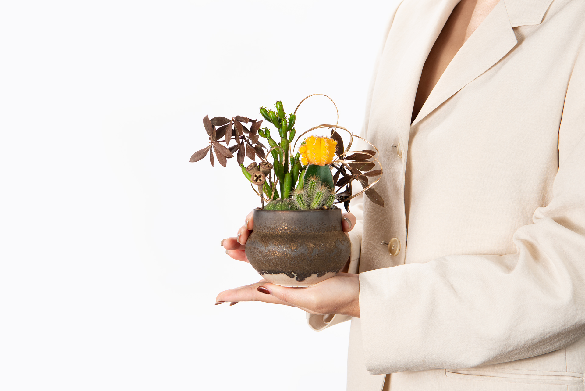 古樸之森_土口＿手捧盆栽