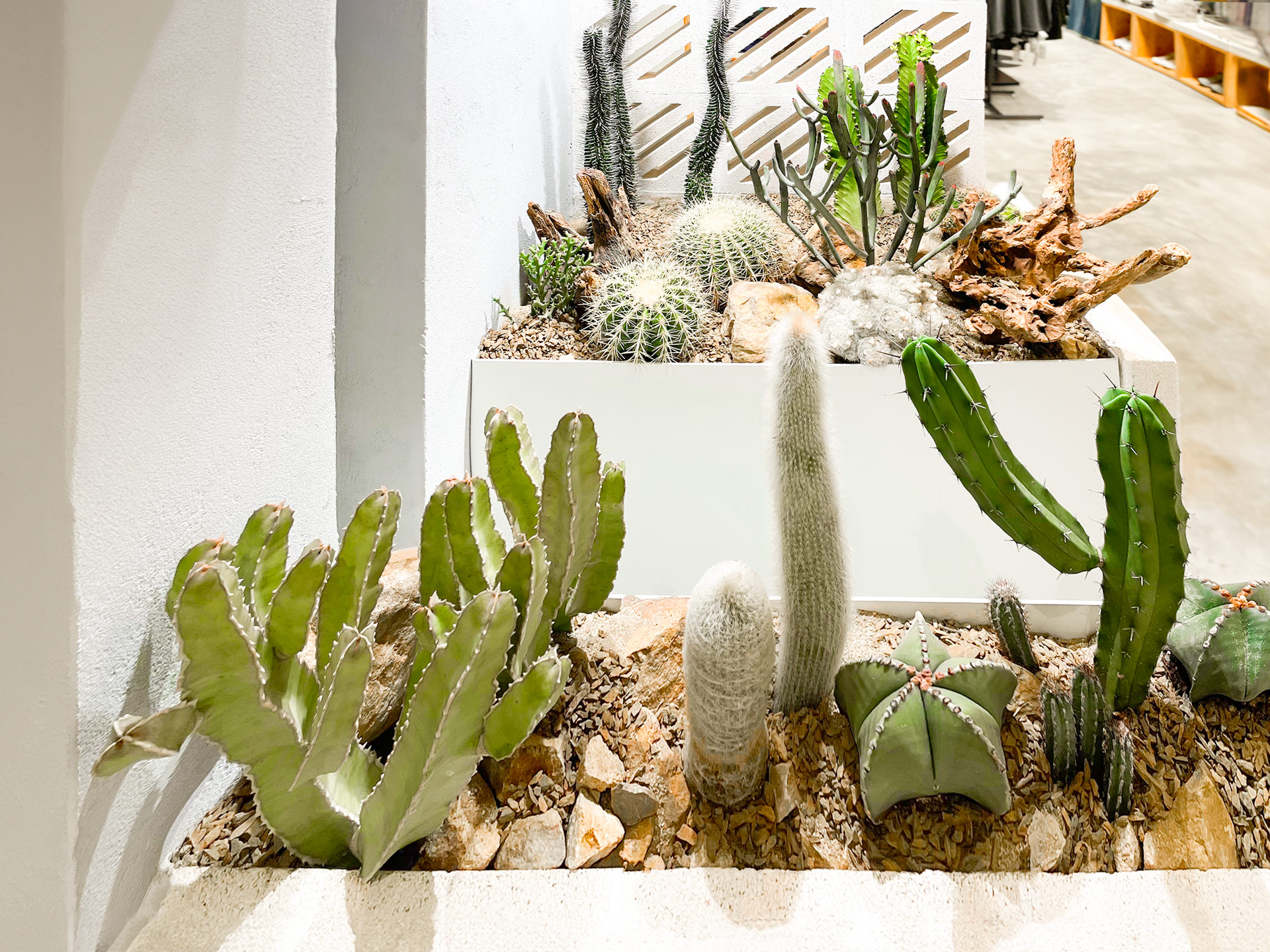 台中lalaport有肉造景主要面向