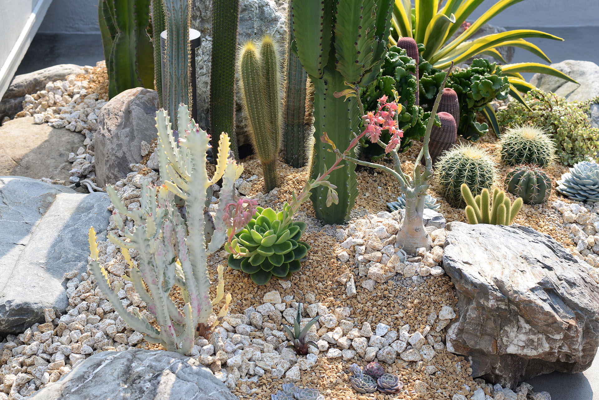 增加環境綠化，從陽台空間做起