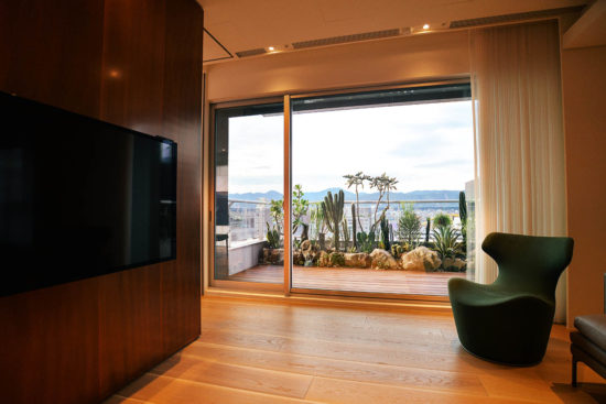 台北陽台沙漠造景案例-27