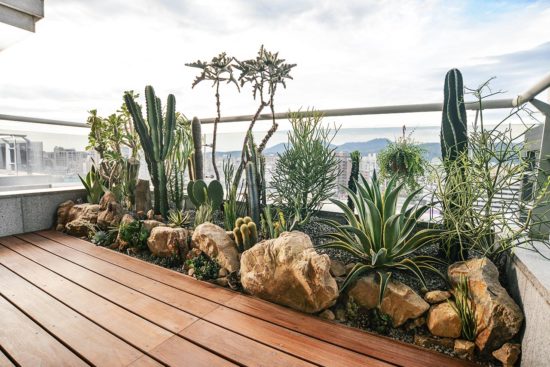 理解自家環境的方式 - 陽台造景