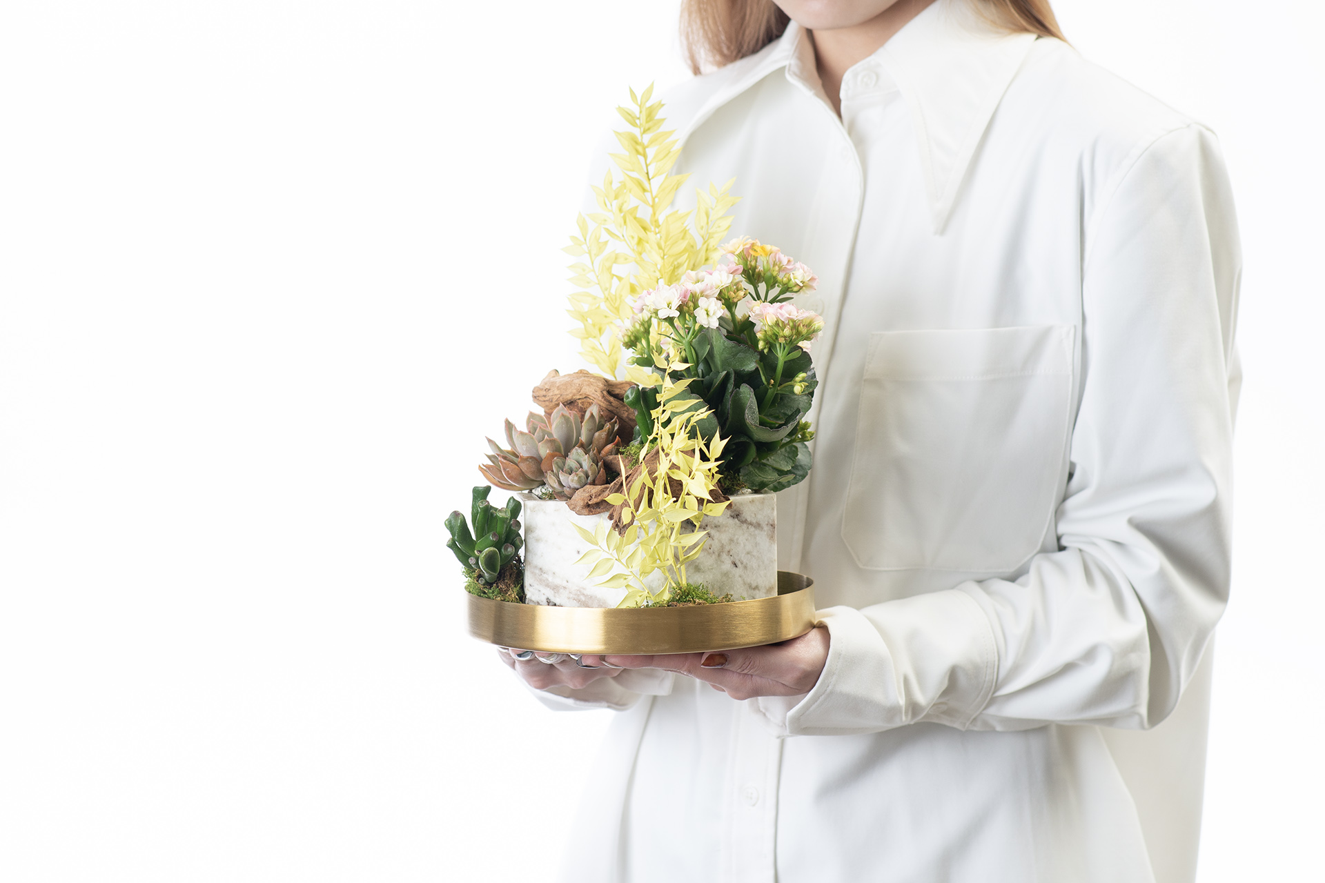 金黃色開幕盆栽