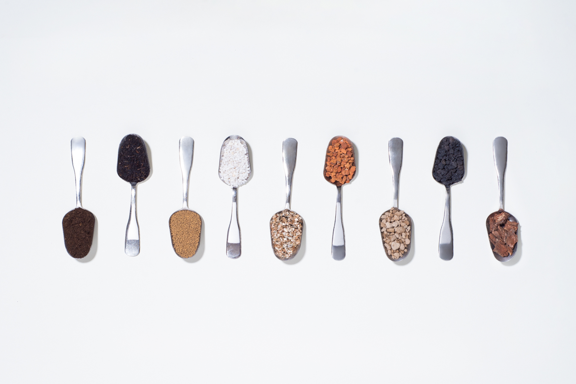 【完整教學】植物照顧終極指南 向黑手指說掰掰 多肉專用土：室內土3 1