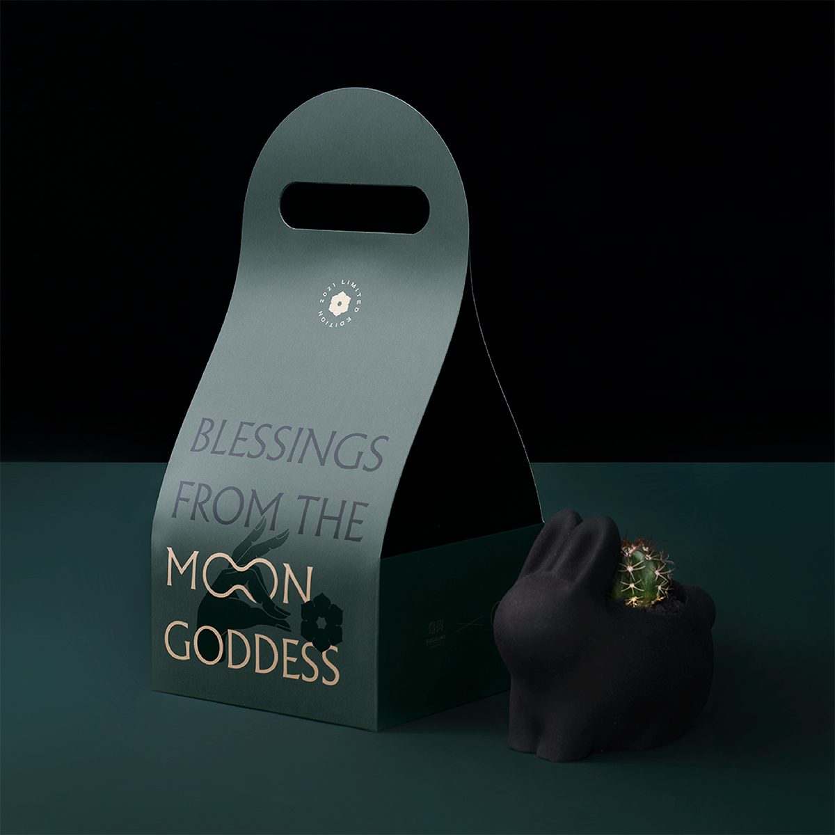 2021 年中秋植物禮盒 多肉禮盒 外提袋 11