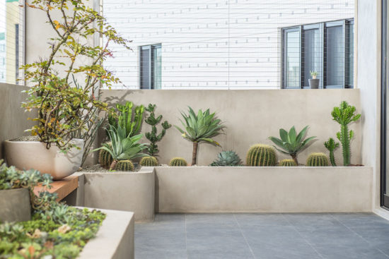 陽台植物造景佈置