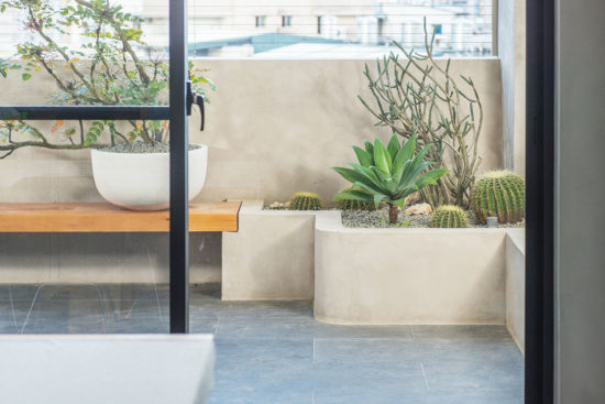 窗外植物造景佈置