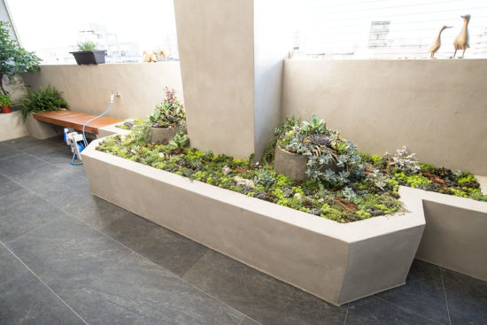 清水模植物造景