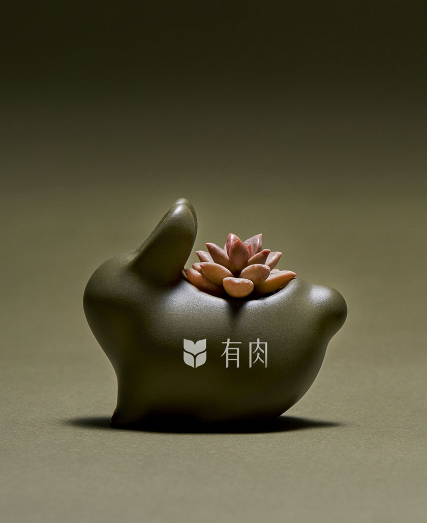 2023 中秋禮盒介紹 | 月兔與森林的交會 客製化 小兔子logo 1