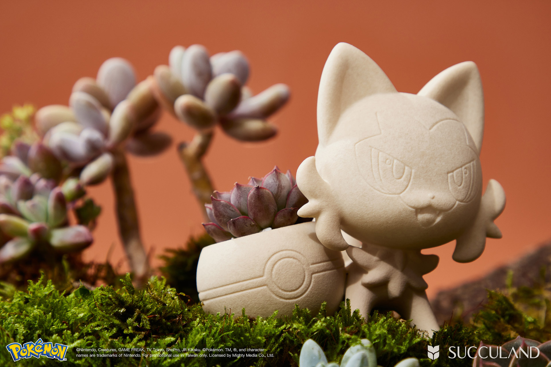 寶可夢植栽與有肉SUCCULAND-新葉喵ニャオハ Sprigatito仰角