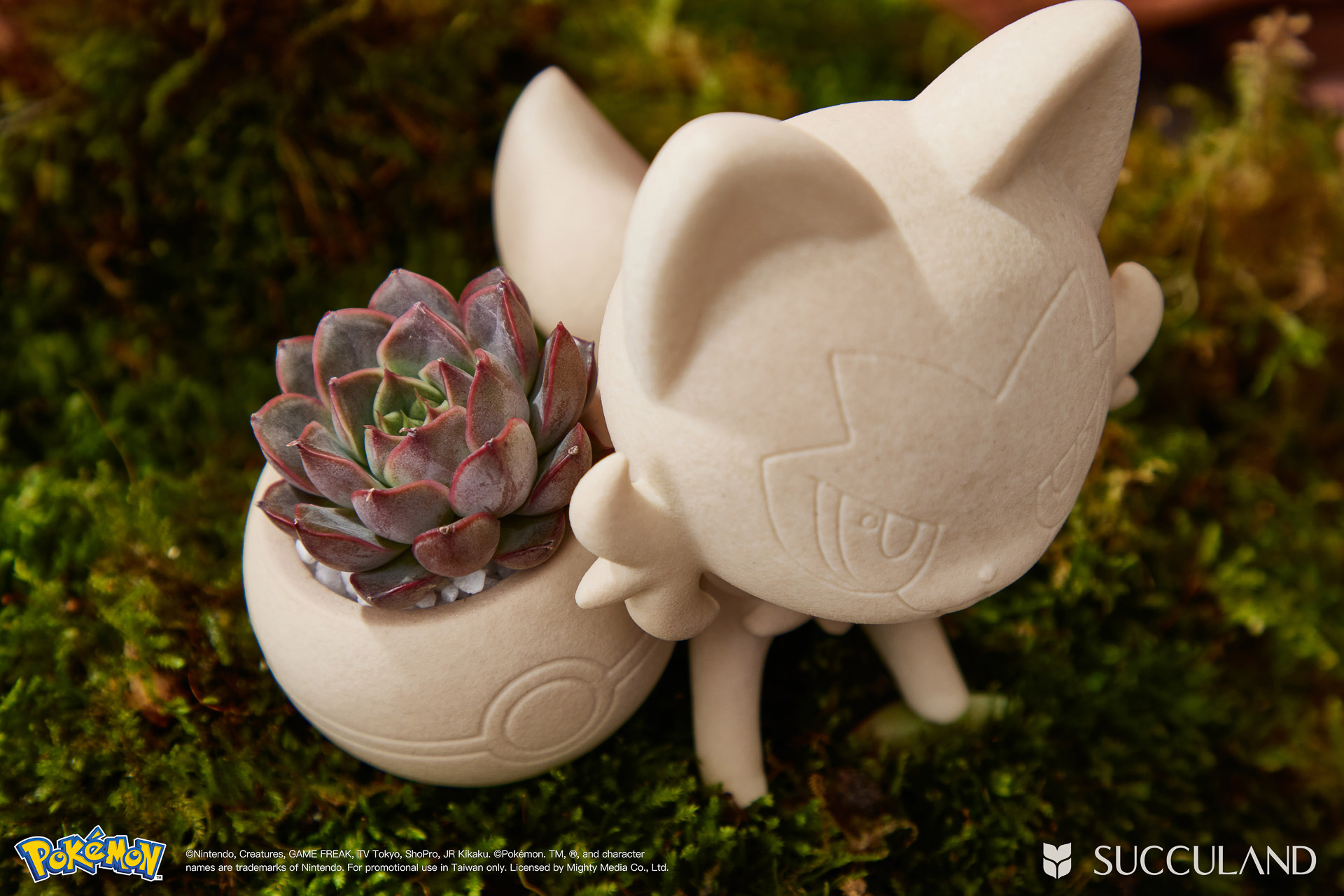 寶可夢植栽與有肉SUCCULAND-新葉喵ニャオハ Sprigatito俯視植物