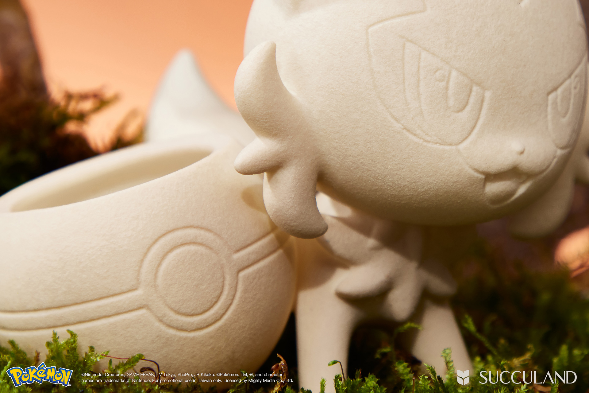 寶可夢植栽與有肉SUCCULAND-新葉喵ニャオハ Sprigatito細節特寫