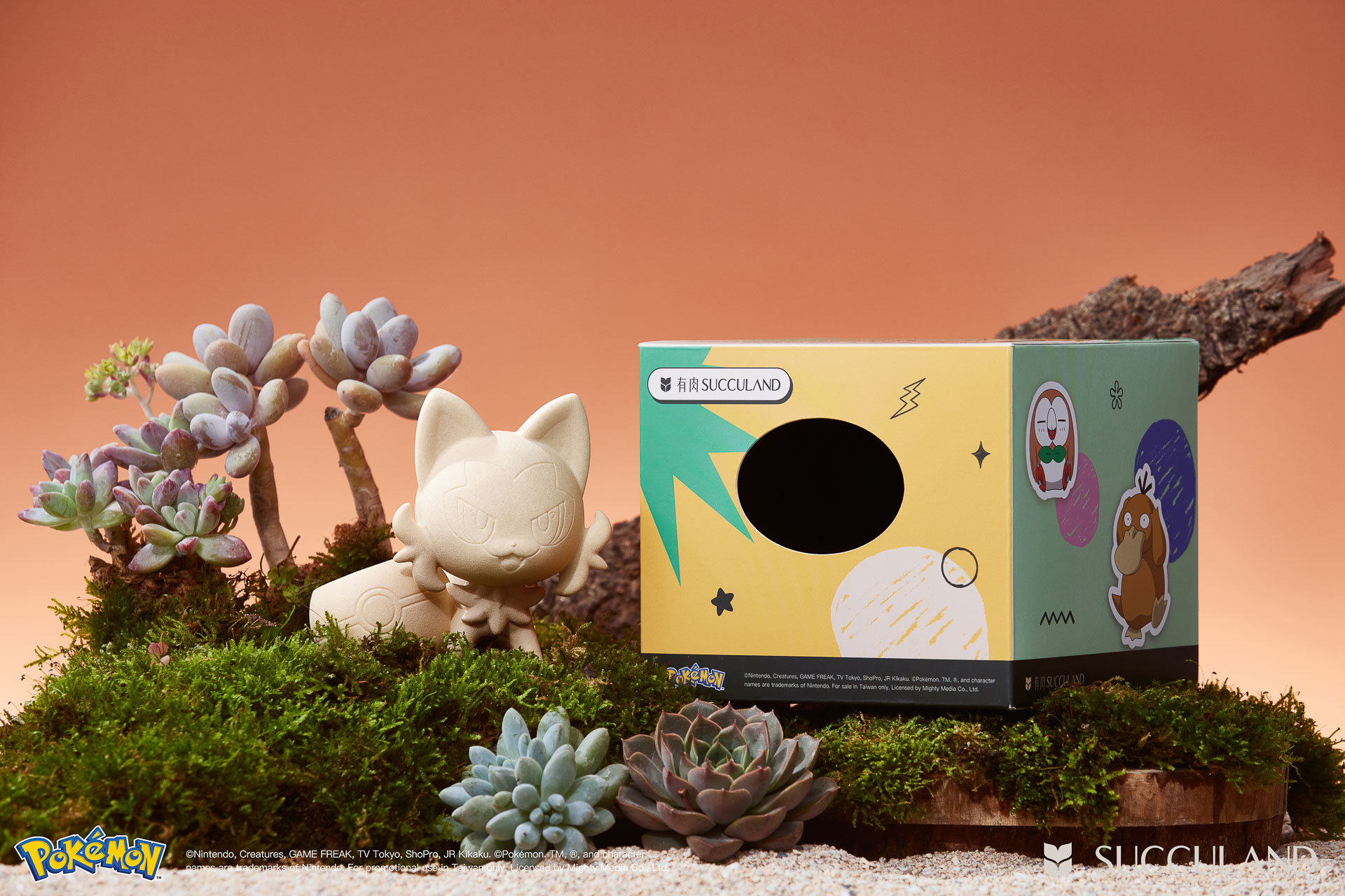 寶可夢植栽與有肉SUCCULAND-新葉喵ニャオハ Sprigatito與盒子
