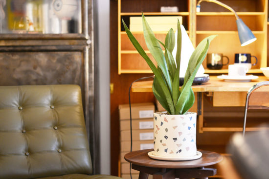 室內植物種植也需要通風