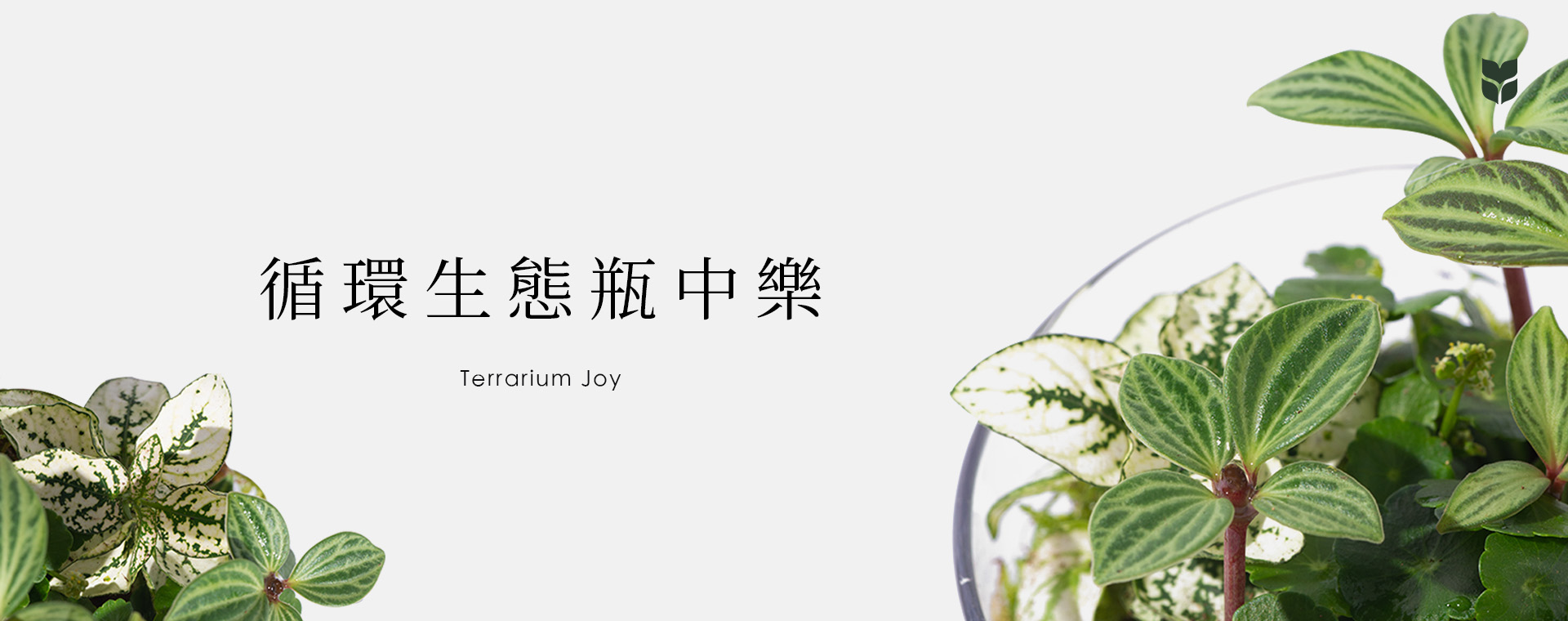 企業活動課程總覽 循環瓶中樂 完稿 1