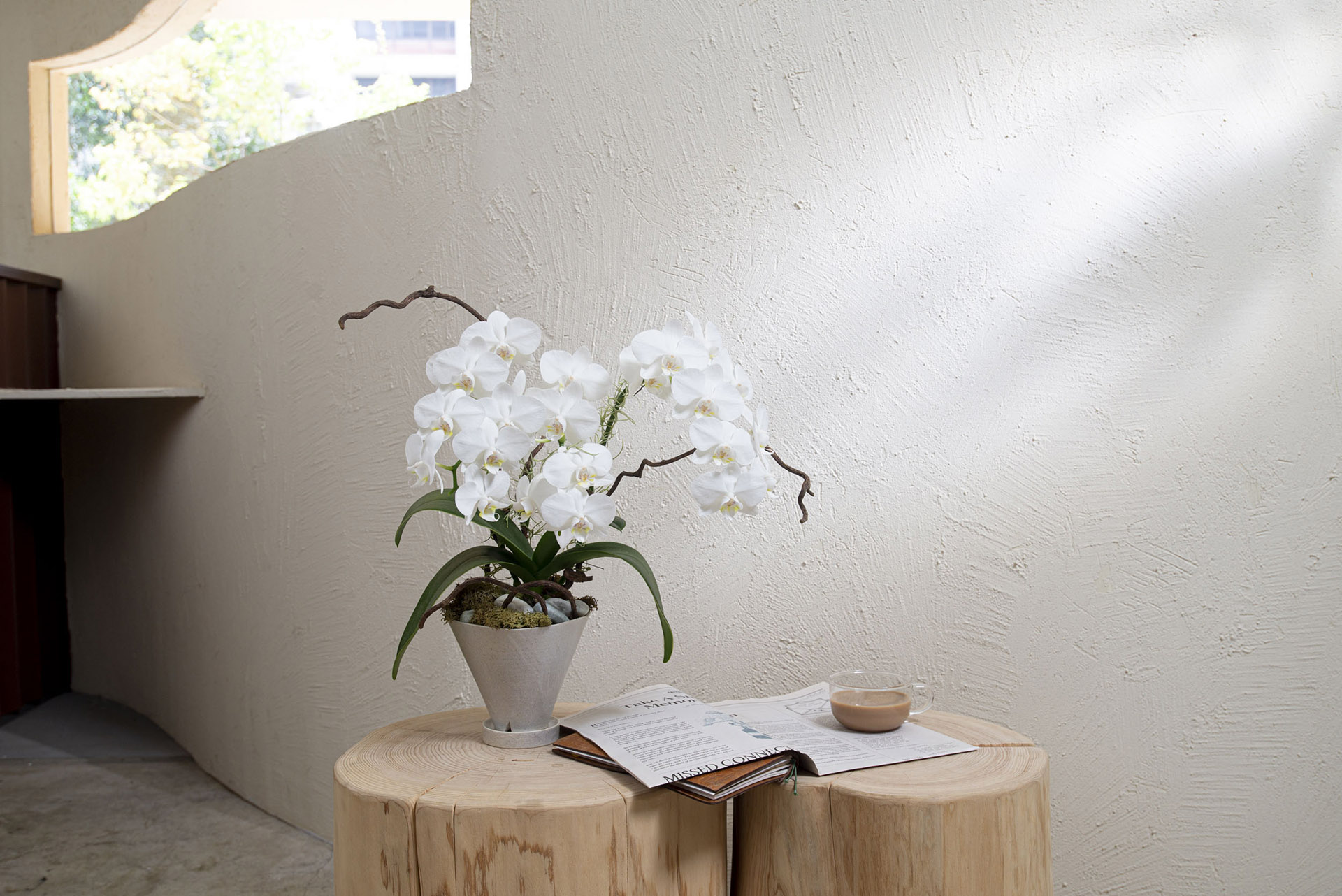 德安鍾存 白色典雅蘭花盆栽0