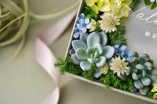 2024 七夕情人節送多肉花禮盒，療癒陪伴一整年 情人節課程體驗 32