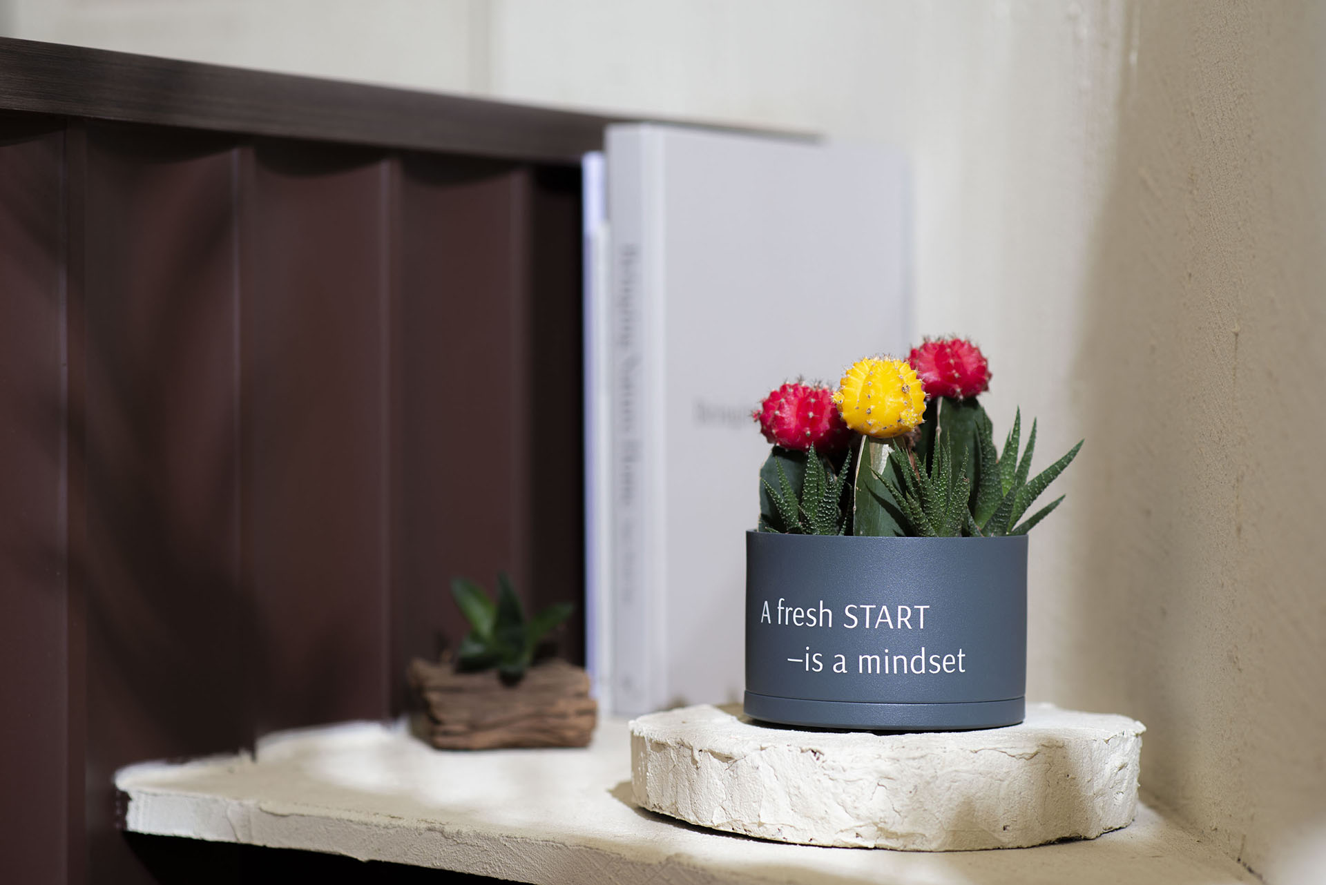 新開始的生日禮物