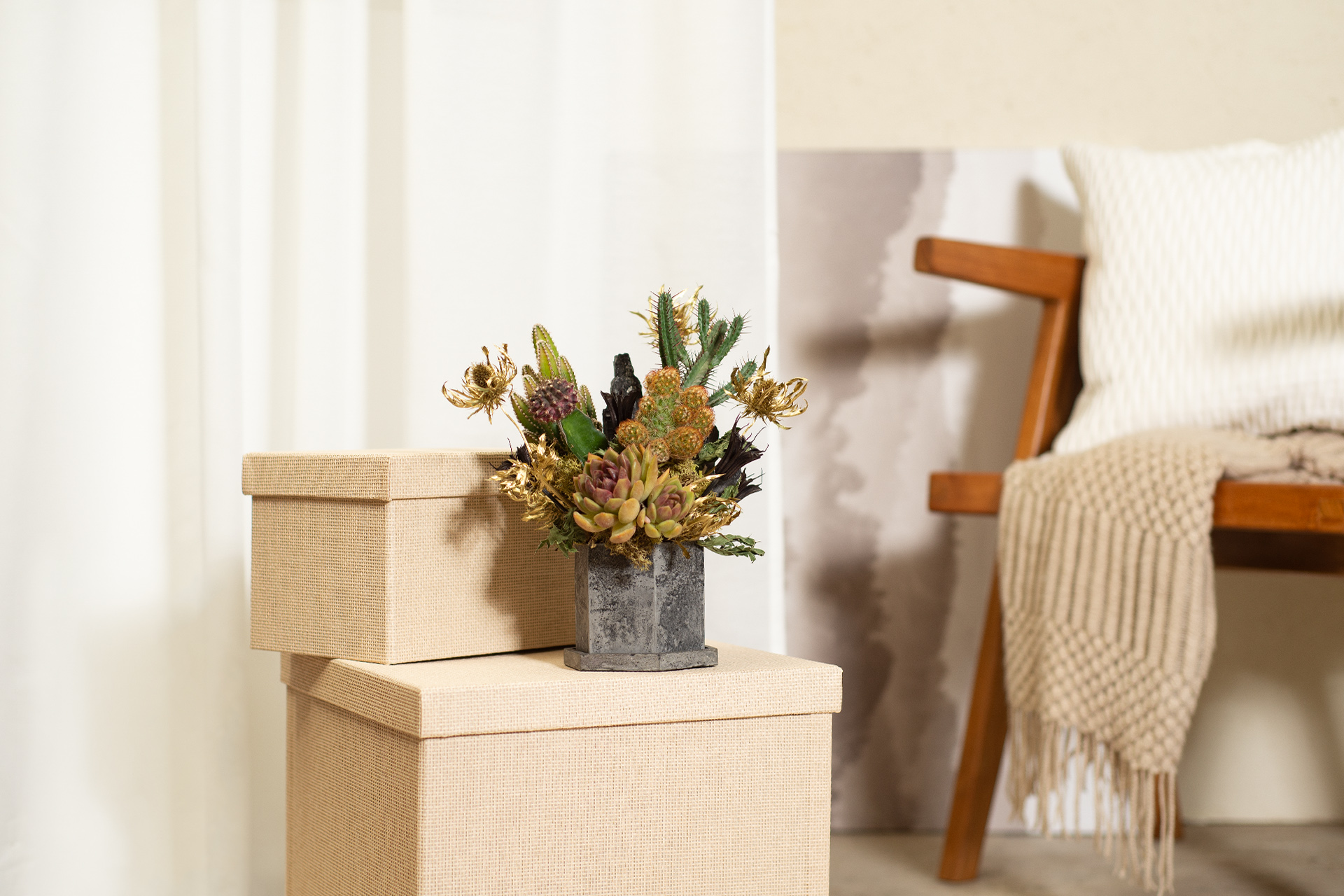 家飾品盆栽推薦