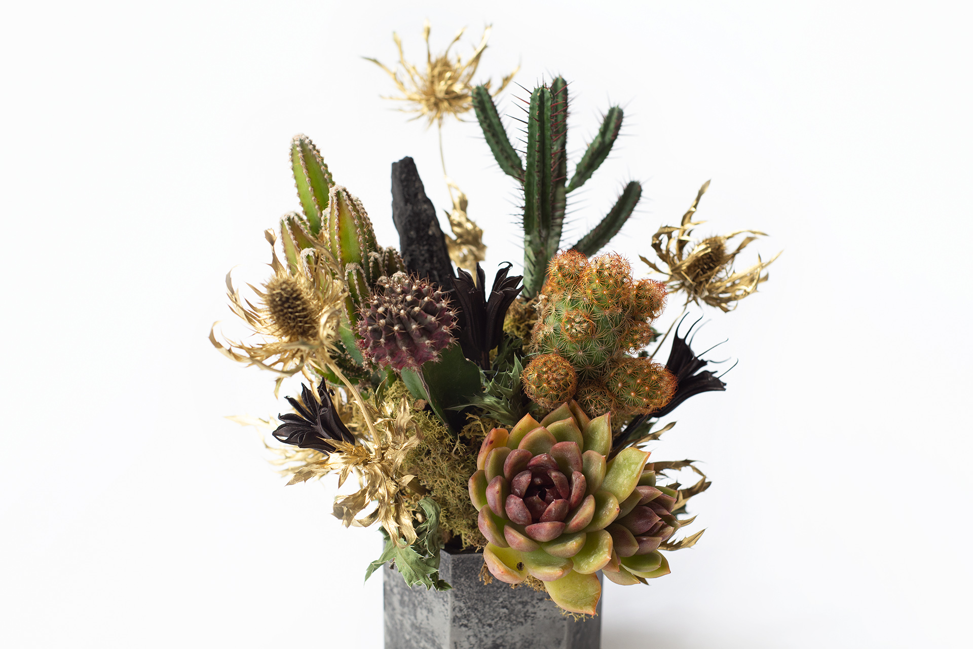 多肉盆栽設計2023