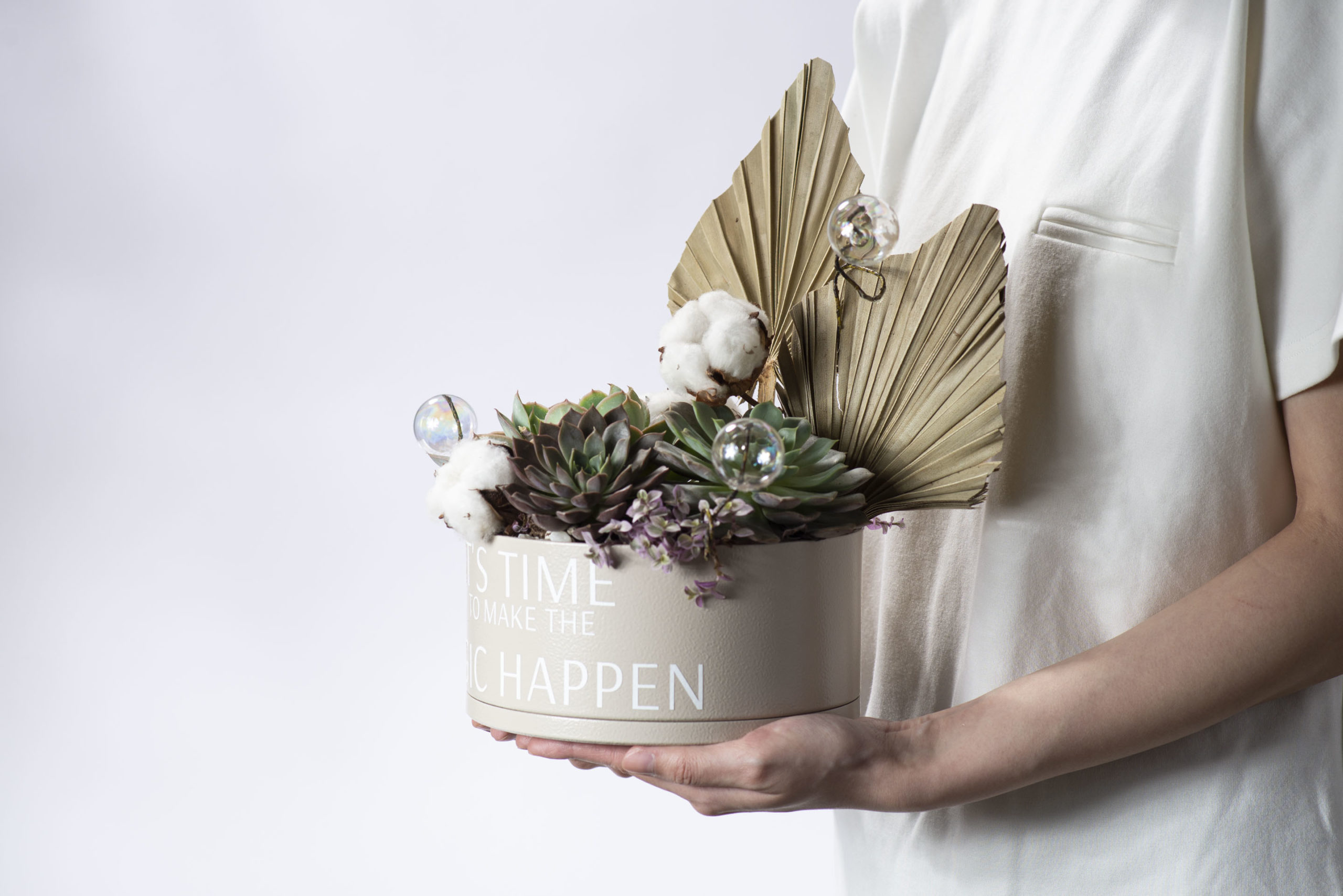 新晴大展 開幕盆栽＿有肉植品設計9 scaled