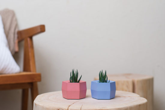 鳳梨盆栽的禮物感：台灣設計鳳梨盆 旺旺吉安＿開幕好禮6