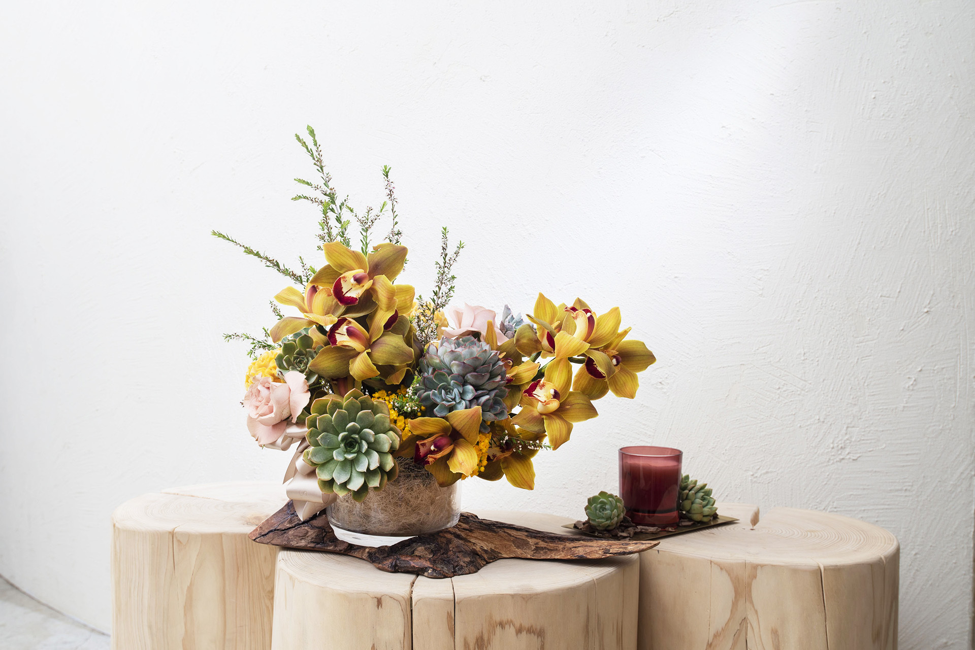 長壽花與蘭花，春節開花盆栽怎麼選？ 春節花藝創作：春野慢遊0