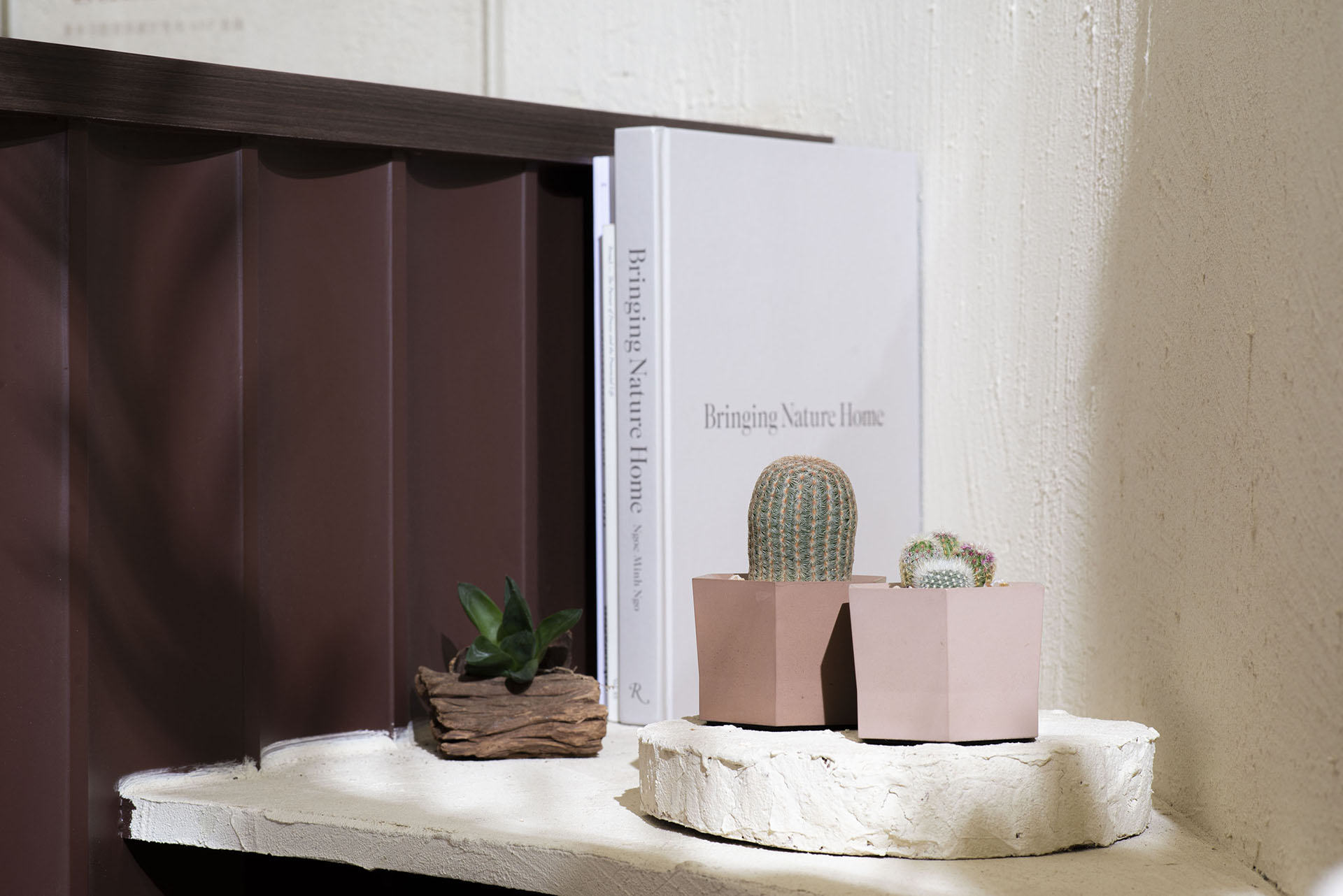 室內小盆栽幾何造型