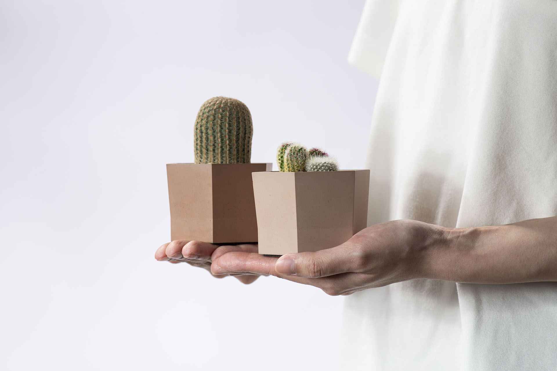 室內奶茶色盆栽