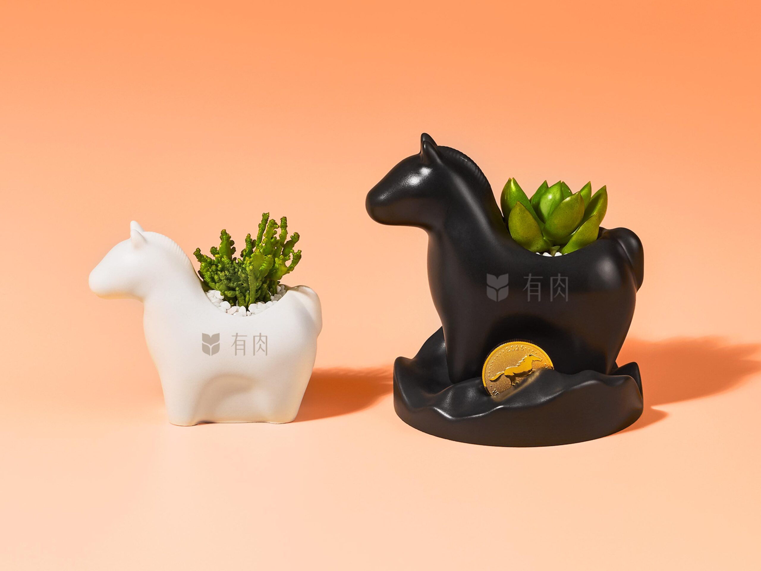 寫給植物新手的種植指南　照顧好多肉植栽禮 有肉年節禮盒 平面製作1 新聞稿 配圖4 scaled