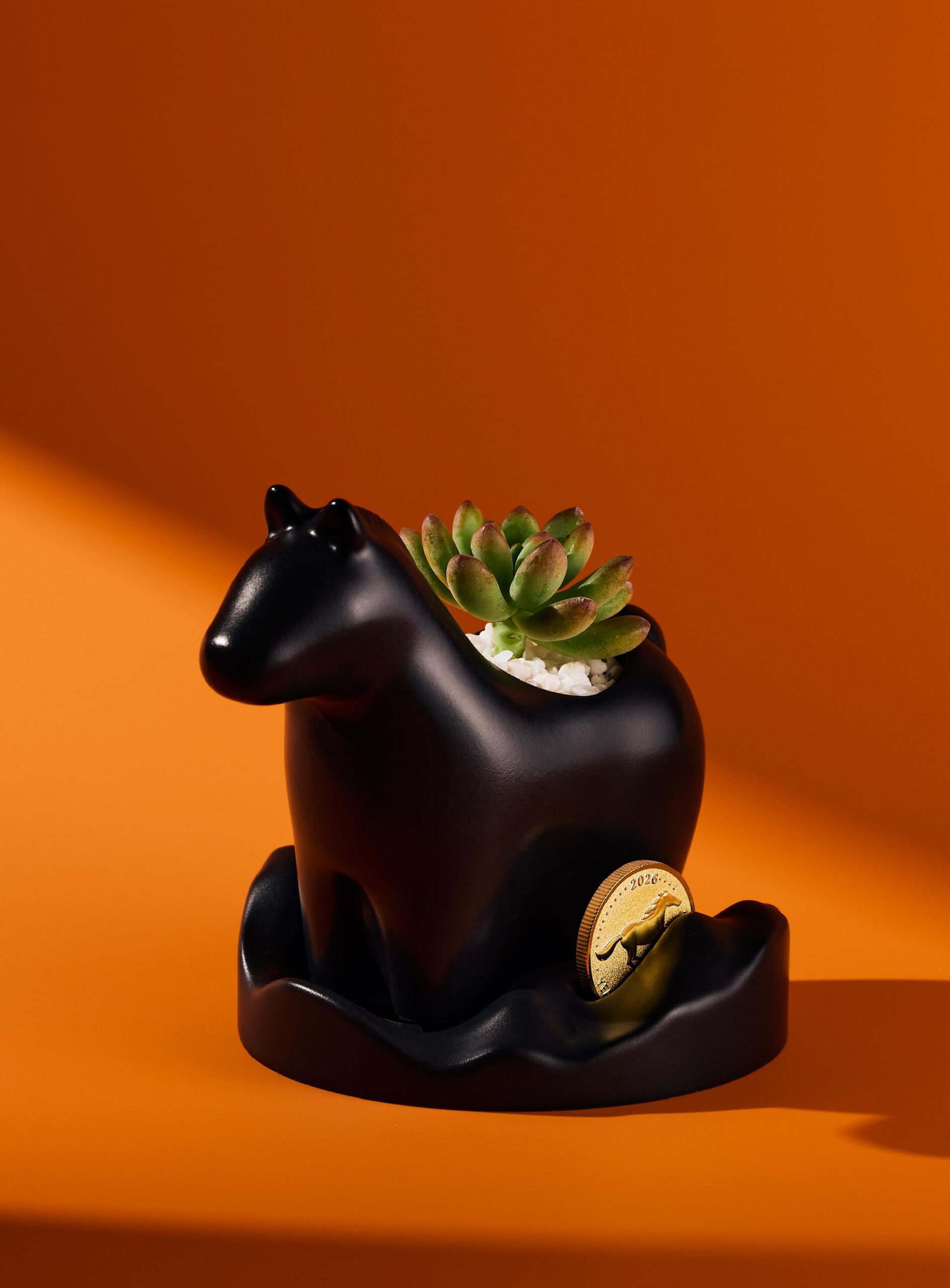 寫給植物新手的種植指南　照顧好多肉植栽禮 有肉年節禮盒 平面製作1 新聞稿 配圖5 scaled