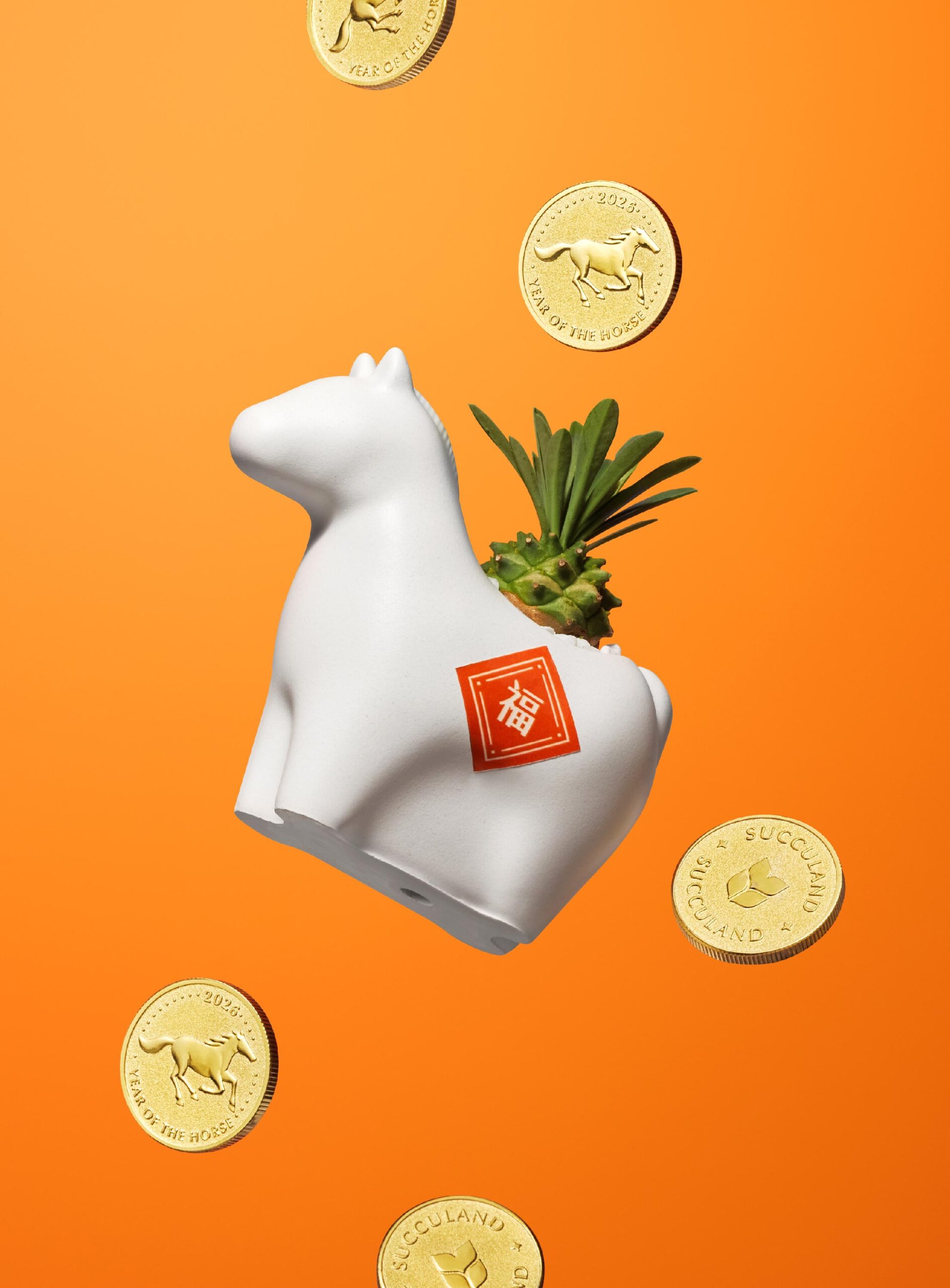 寫給植物新手的種植指南　照顧好多肉植栽禮 有肉年節禮盒 平面製作1 新聞稿 配圖6 scaled