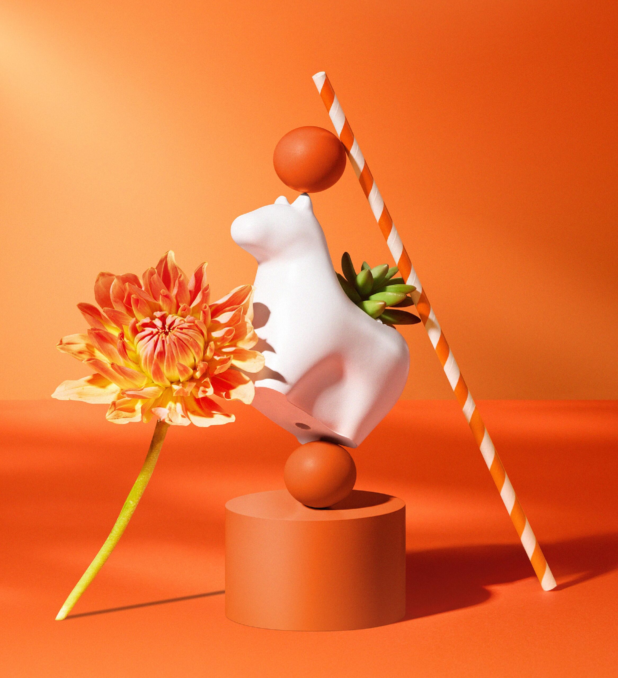 寫給植物新手的種植指南　照顧好多肉植栽禮 有肉年節禮盒 平面製作1 新聞稿 配圖9 scaled