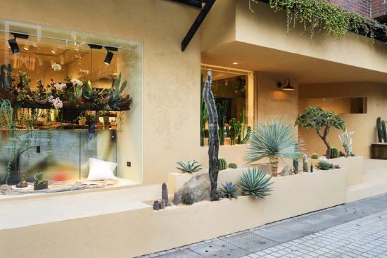 全日照？半日照？教你搞懂植物的需要！ 有肉新門市外觀照2 1280