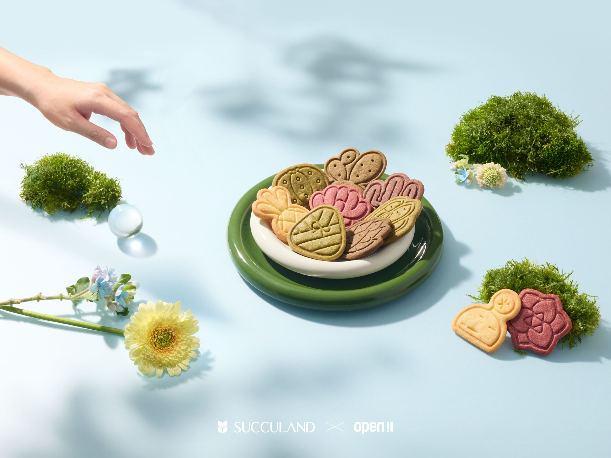 有肉端午禮盒_03新聞稿_聯名_配圖_餅乾情境圖