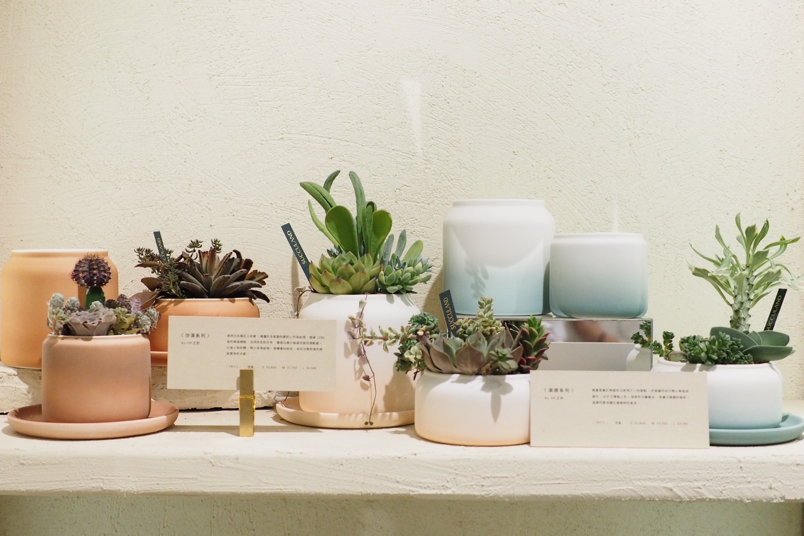 哪裡買陶盆？8 款高品質台灣陶盆！獨立製陶師作品 有肉SUCCULAND七週年慶門市陳列11 1