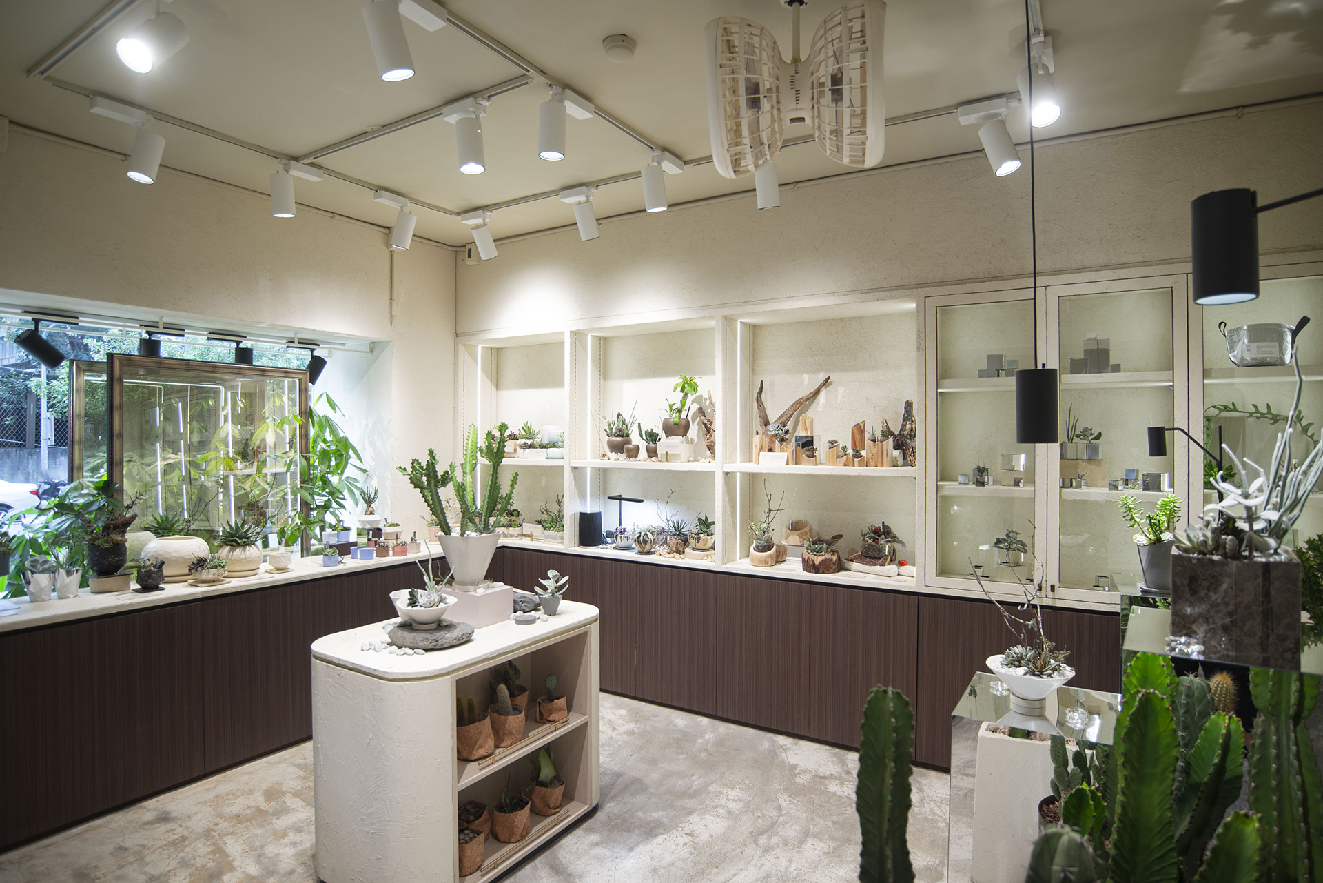 「走進大安四維街區」挖掘七家店，從設計出發感受生活！ 有肉SUCCULAND七週年慶門市陳列18