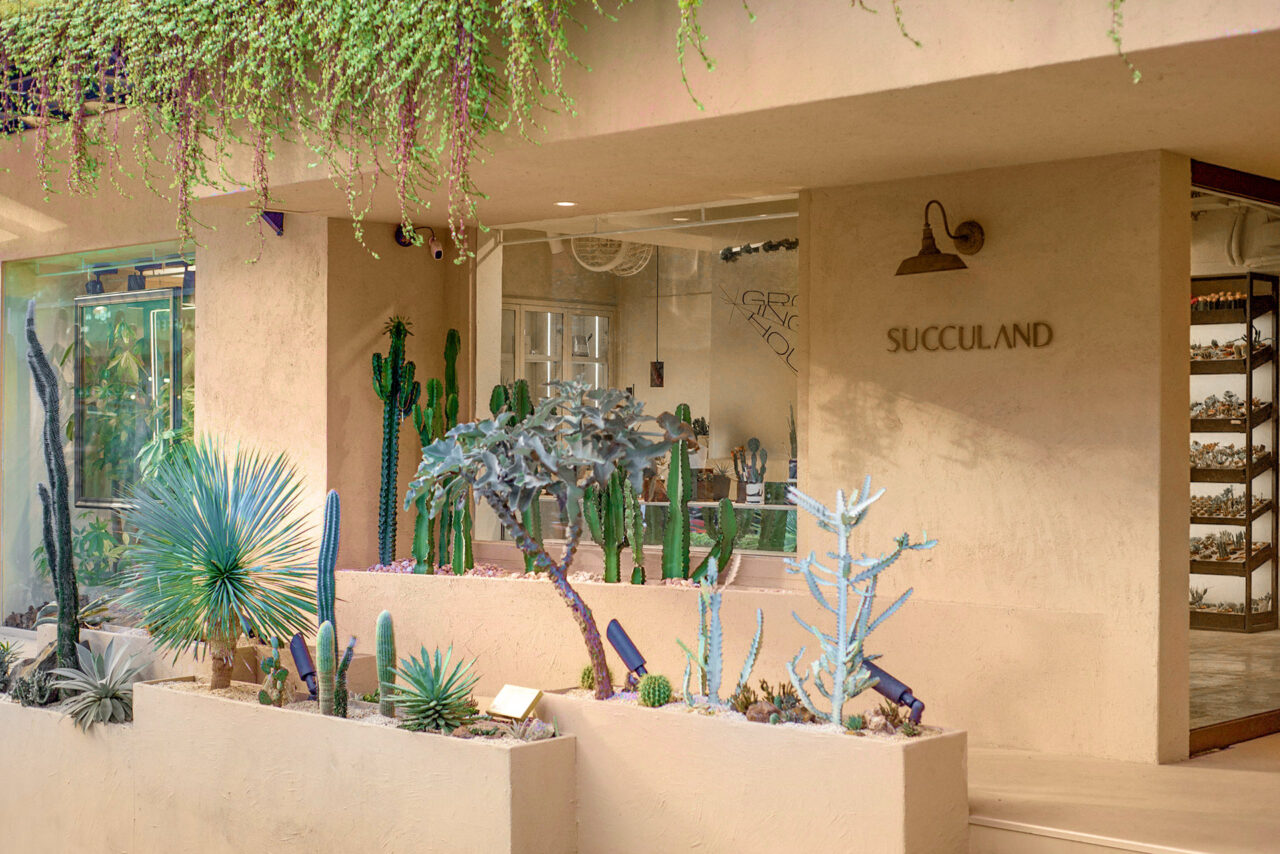 有肉SUCCULAND門市陳列