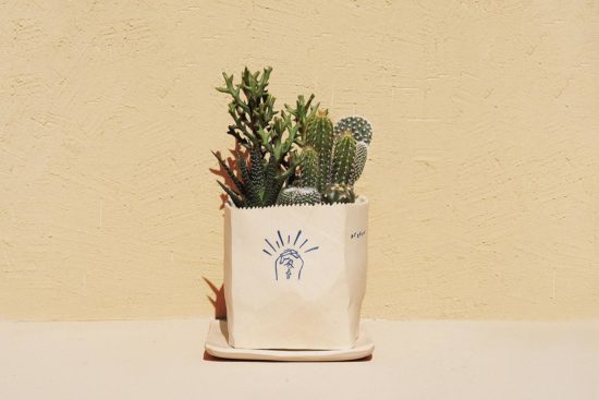 多肉植物專用土介紹 有肉SUCCULAND門市導覽4