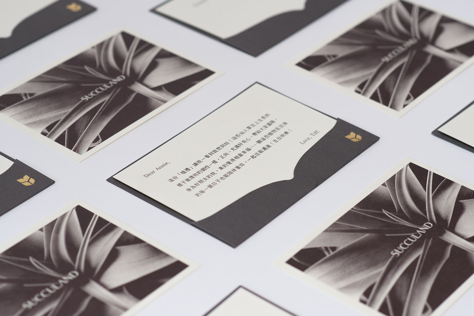 朋友生日禮物送什麼？ 珍貴的心意 以植為禮 有質感的生日卡片，有肉SUCCULAND1