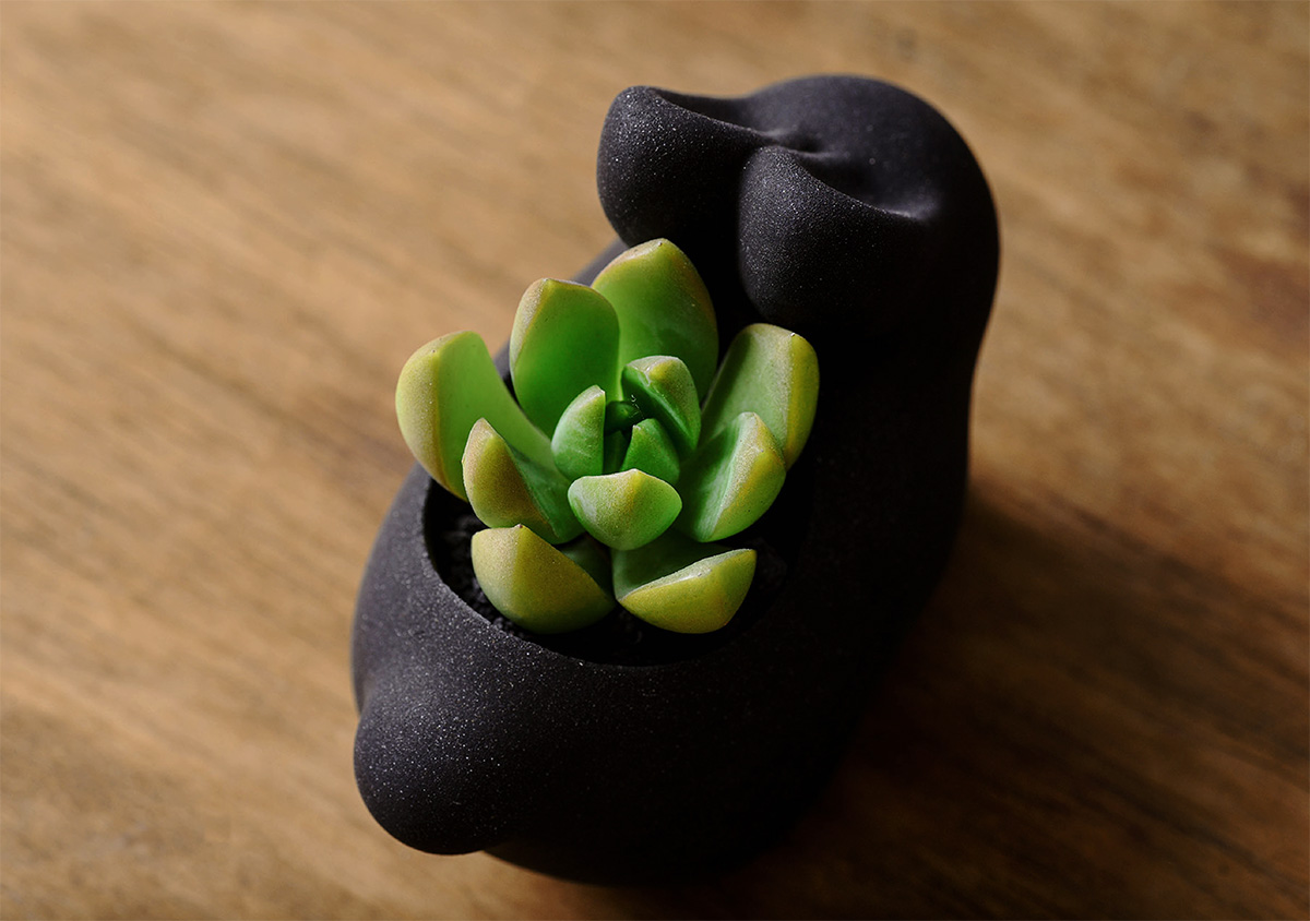 2021 年中秋植物禮盒 服務 27