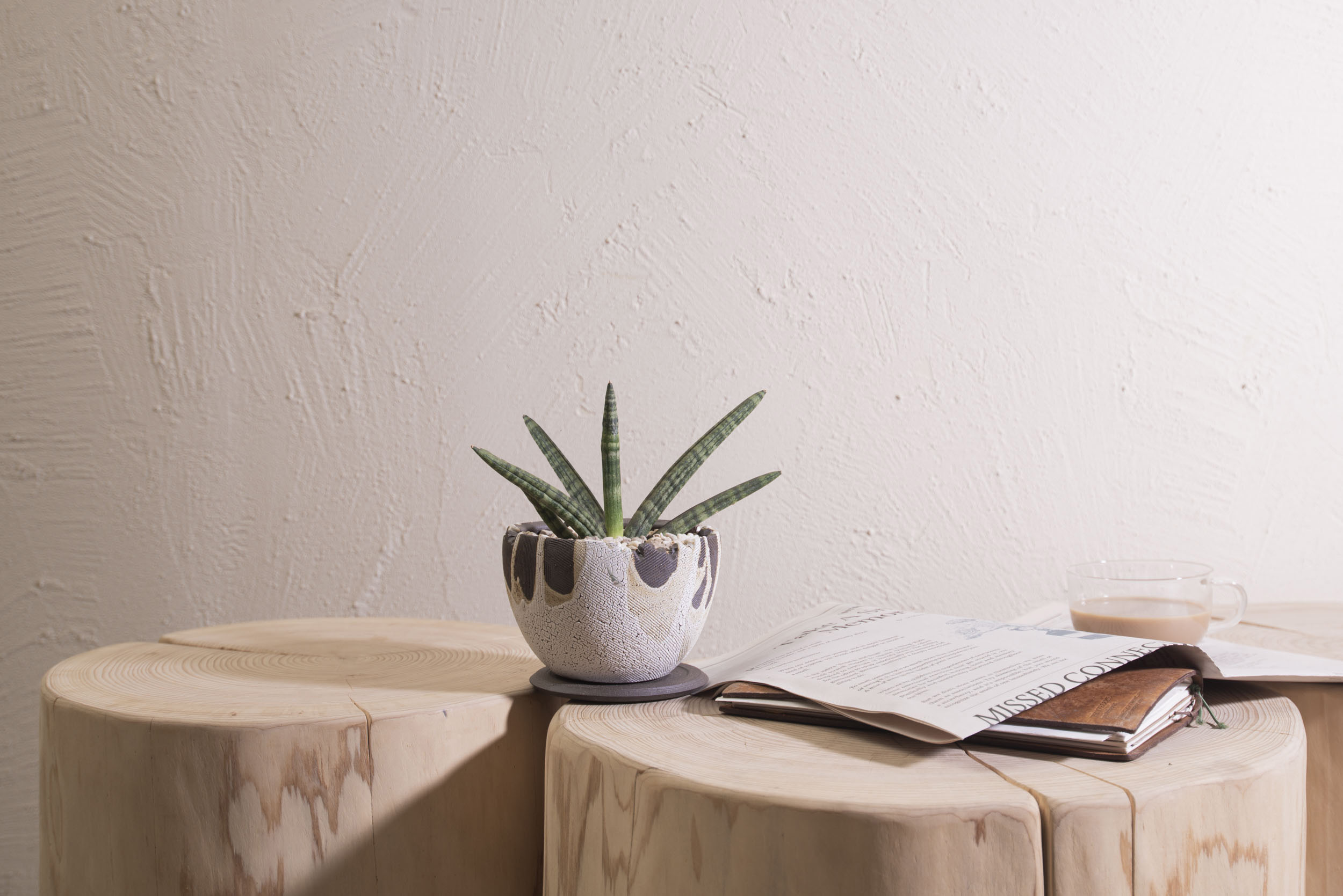 虎尾蘭在書桌上