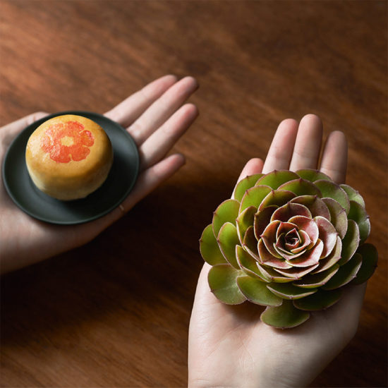 2021 年中秋植物禮盒 植物介紹圖 28