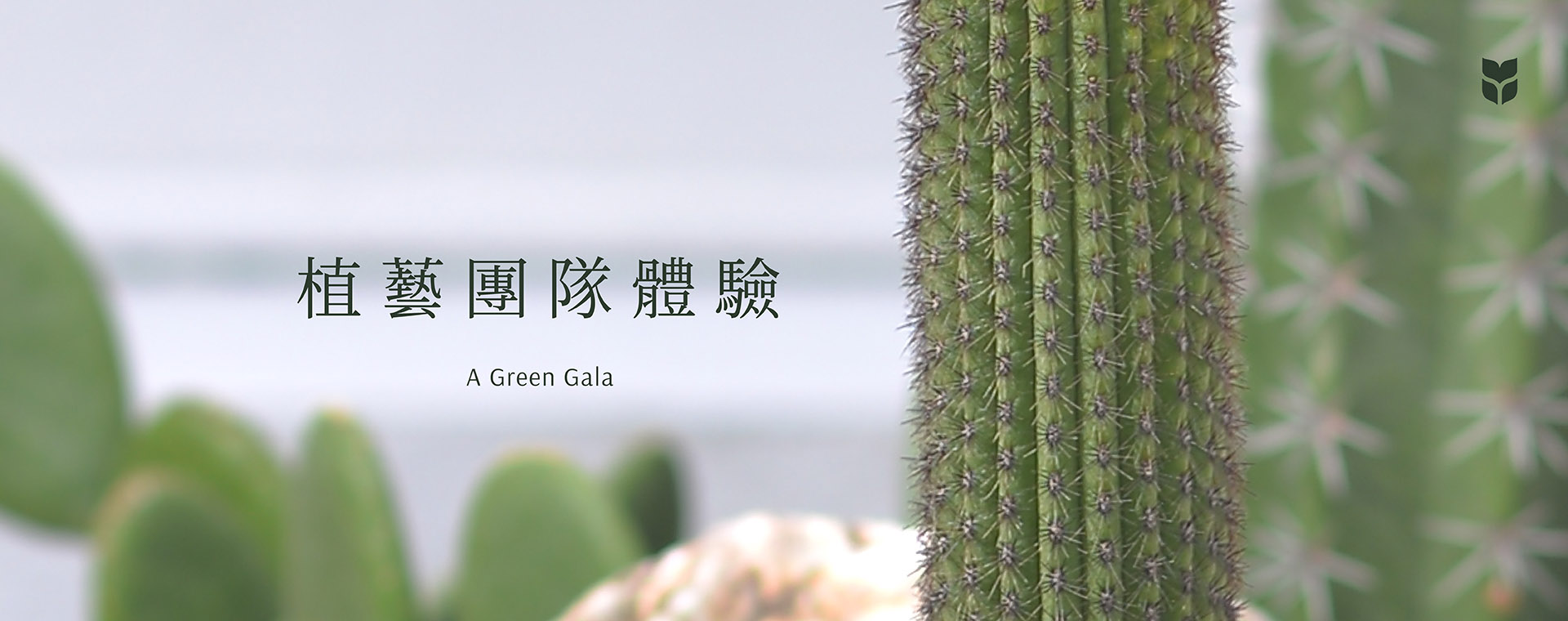 企業活動 12 植藝團隊體驗