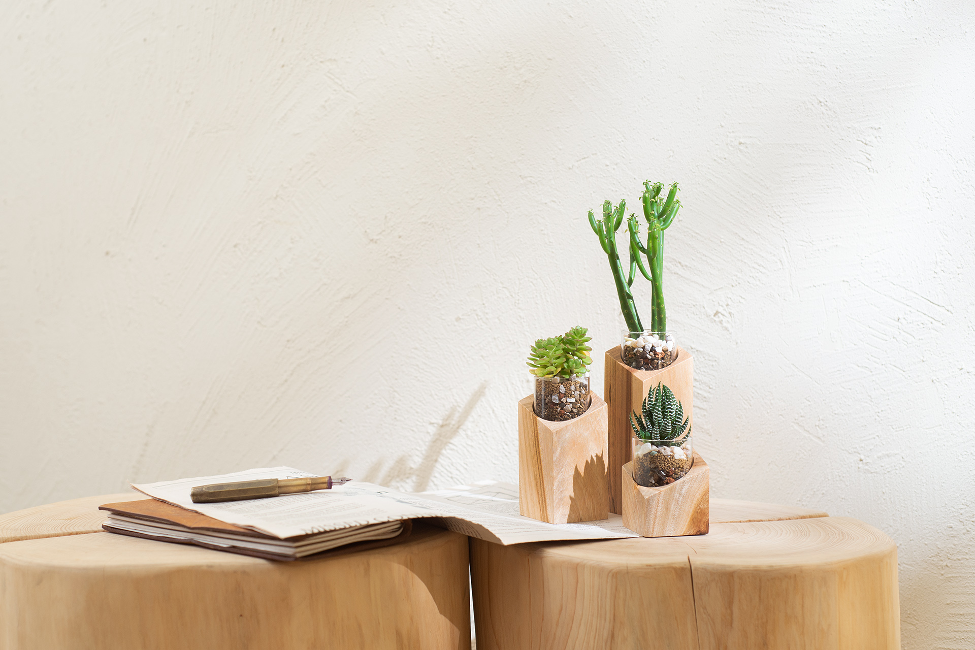 網路訂花禮盆栽，這 5 點都做到更圓滿 步步高升＿步步高昇＿榮升盆栽組合0