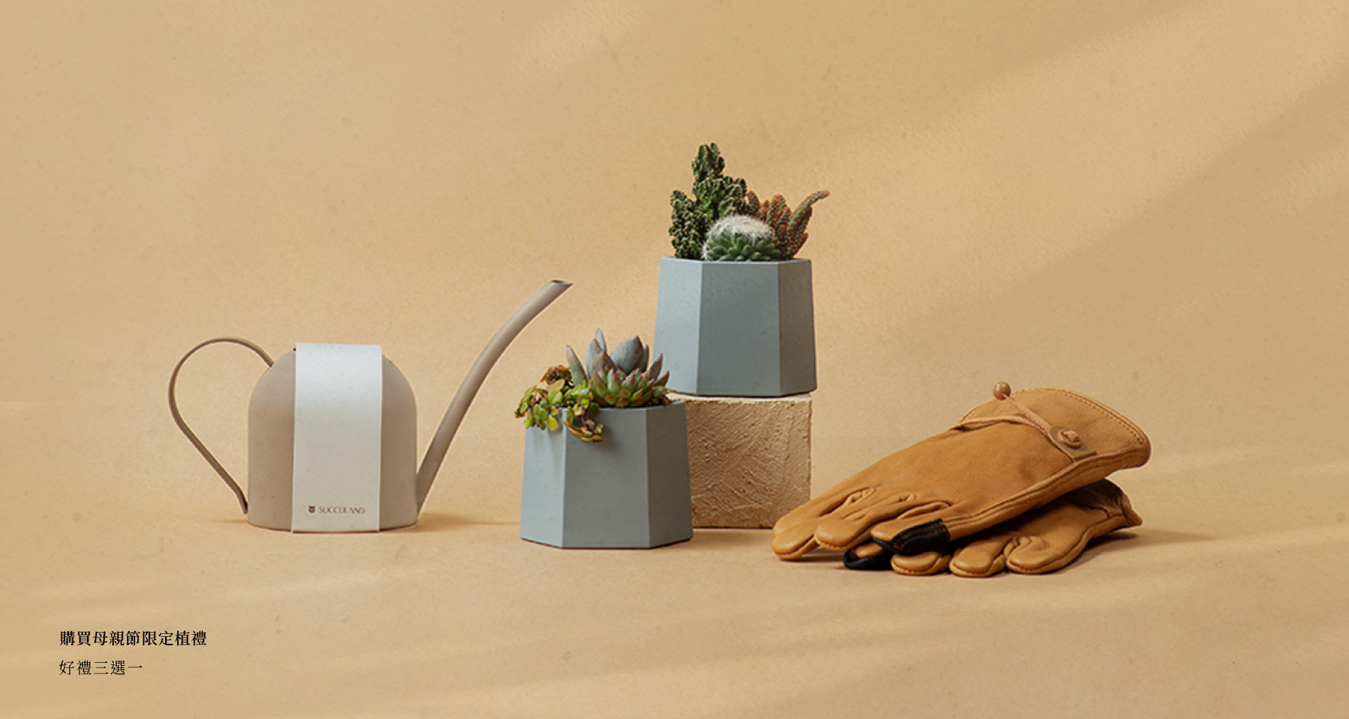 母親節送花草植物給媽媽，卡片怎麼寫？20+ 句美言提供給你 母親節促購活動banner01