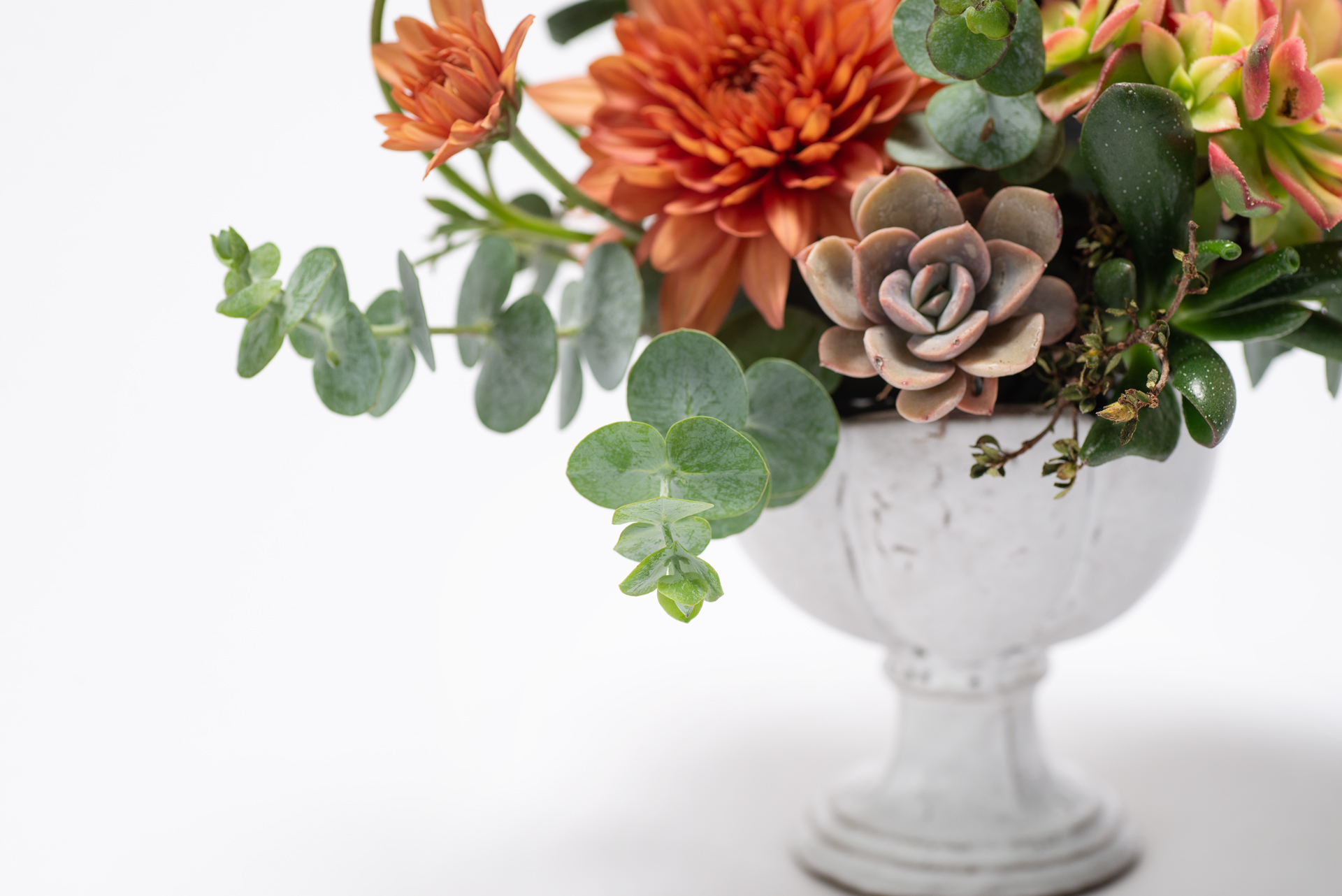 永恆之歌 永恆之歌 白色送禮桌上植栽2