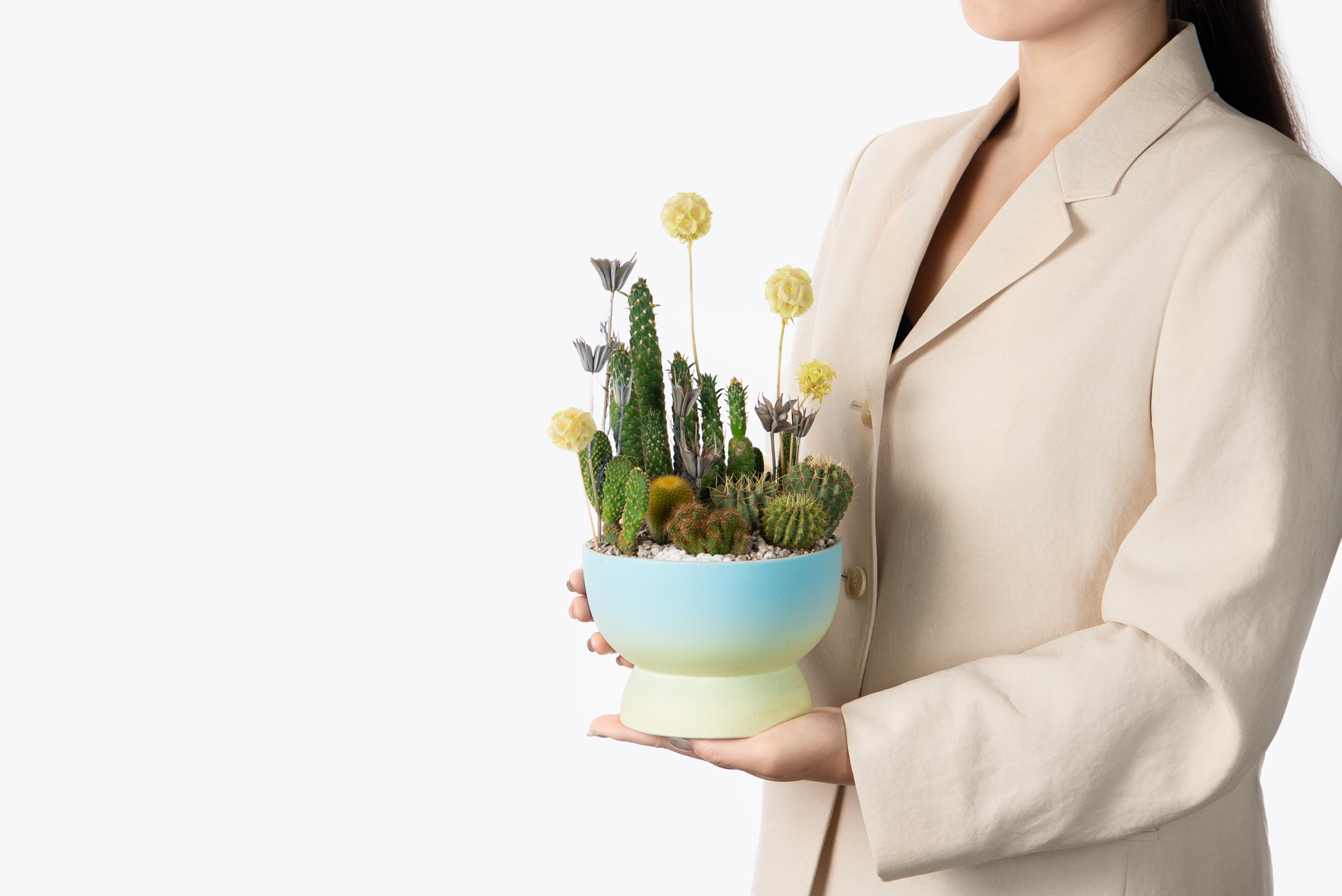 漸彩青翠＿of_雙色漸層＿手捧禮物