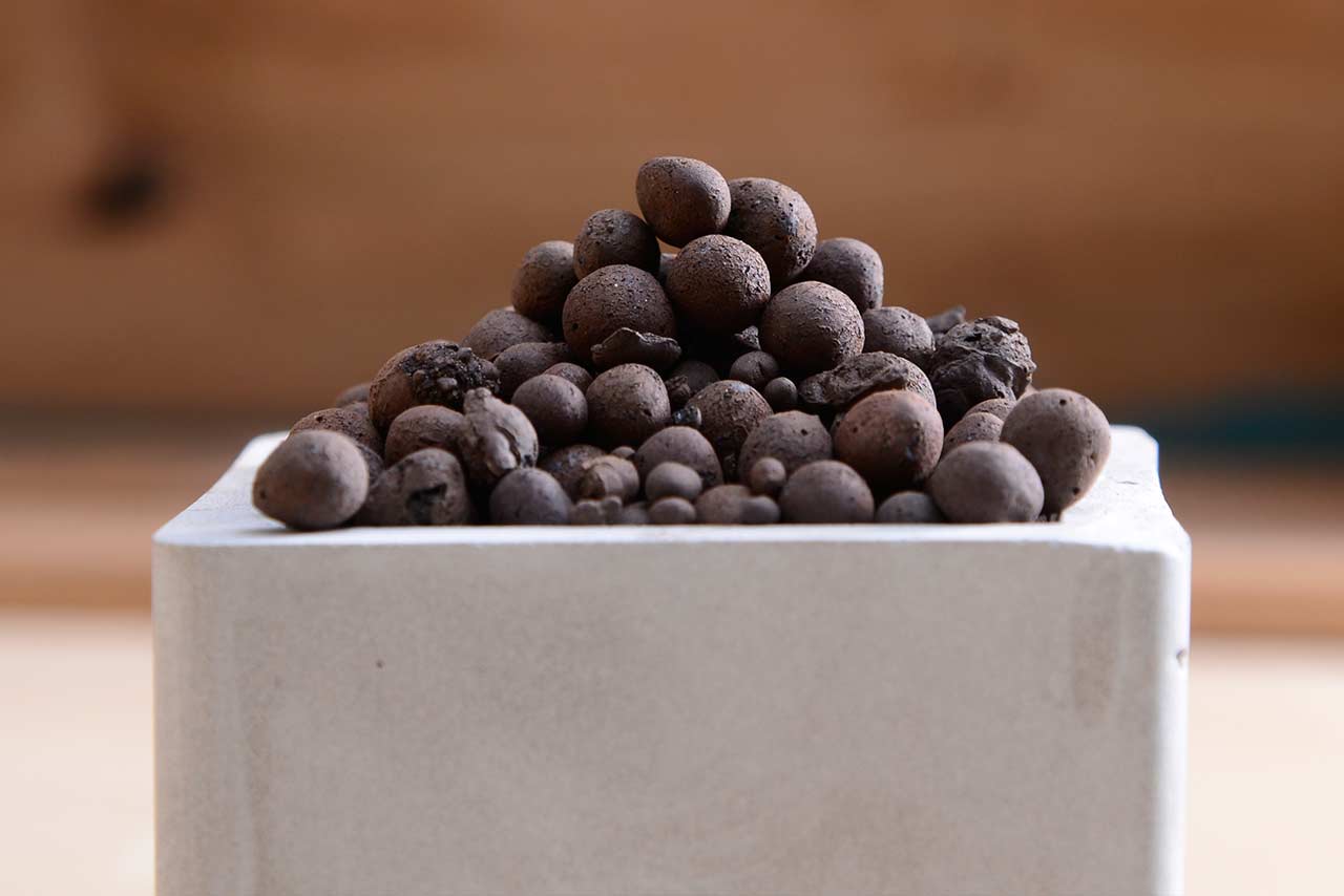 有肉多肉植物專用土-發泡鍊石1